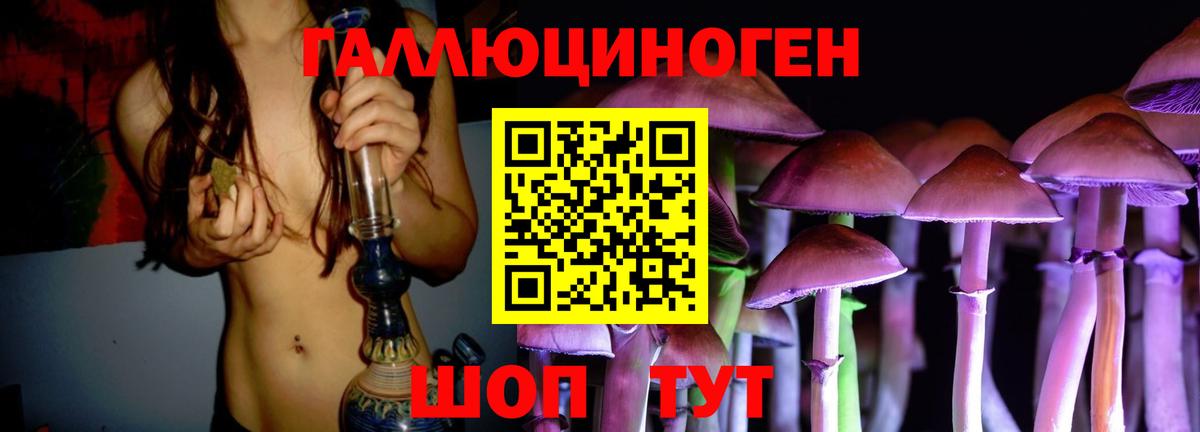Шумерля  Галлюциногенные грибы MAGIC MUSHROOMS  Вход с VPN 